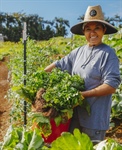 GoFarm – North Shore